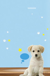 高清小清新寵物營養狗糧海報素材下載