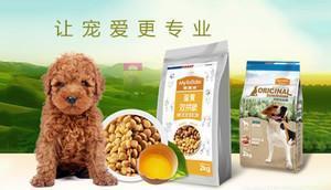 中國十大寵物食品品牌榜中榜 科學喂養，從選對主糧與零食開始